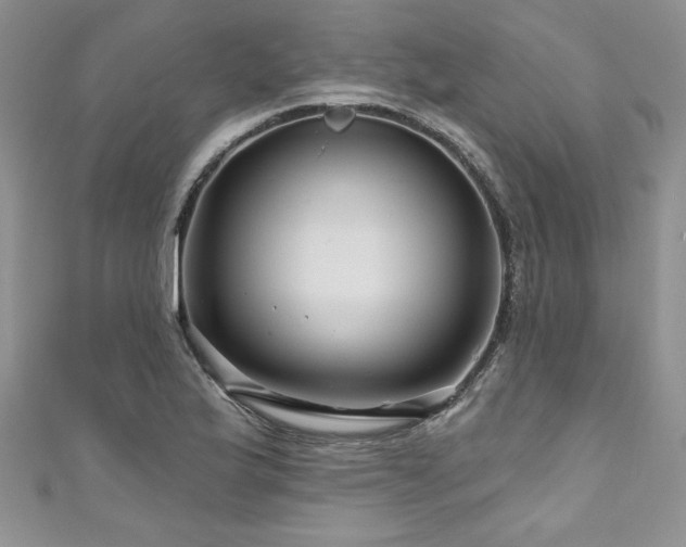 X0000111201175200907011426