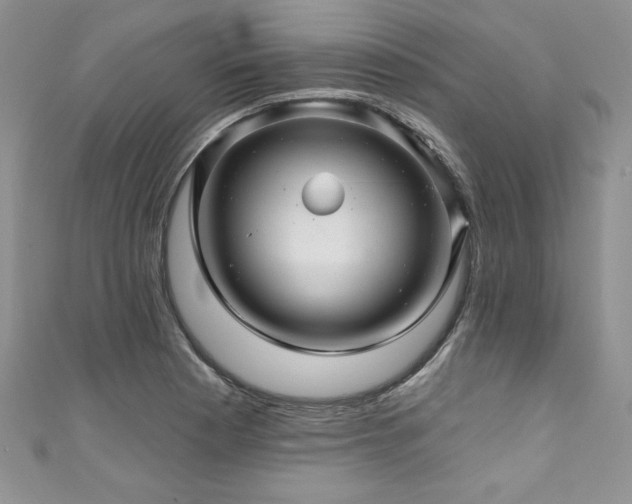 X0000111201177200907011426