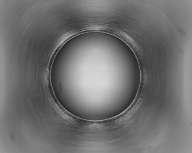 X0000111201178200907011426