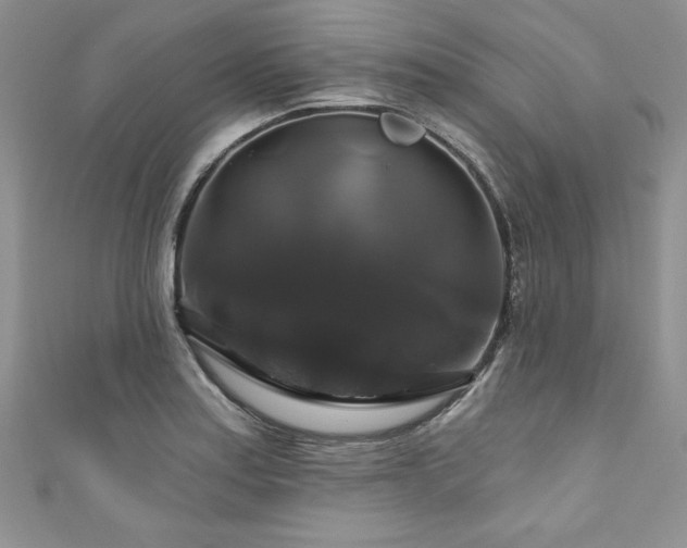 X0000111201179200907011426