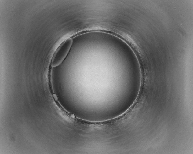 X0000111201181200907011426