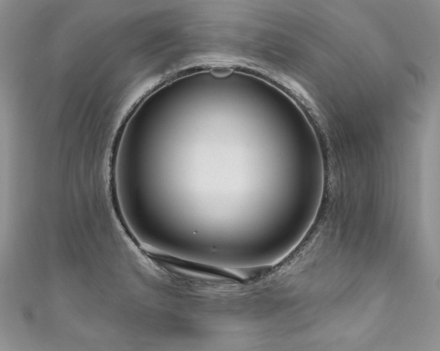 X0000111201183200907011426