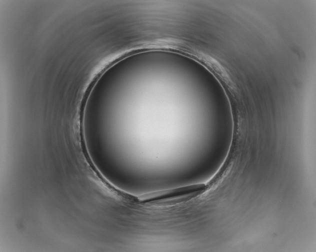 X0000111201184200907011426