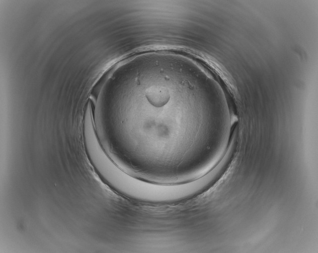 X0000111201185200907011426