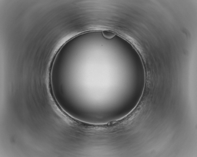 X0000111201187200907011426