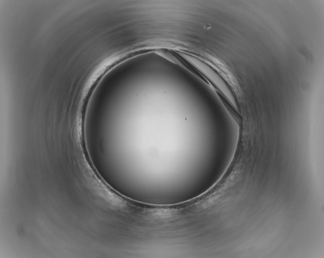 X0000111201188200907011426