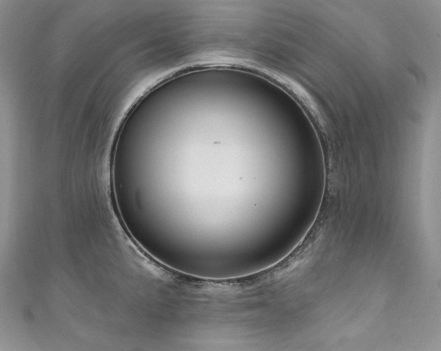 X0000111201191200907011426