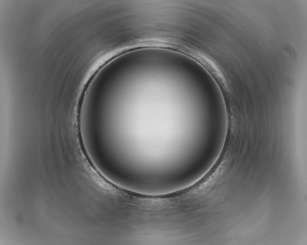 X0000111201192200907011426