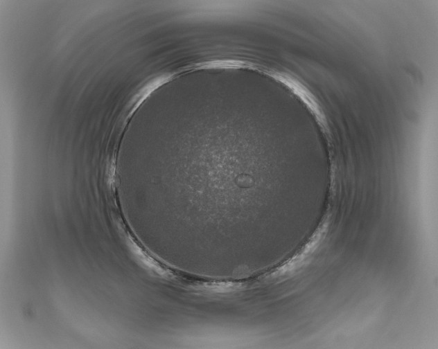 X0000111201193200907011426