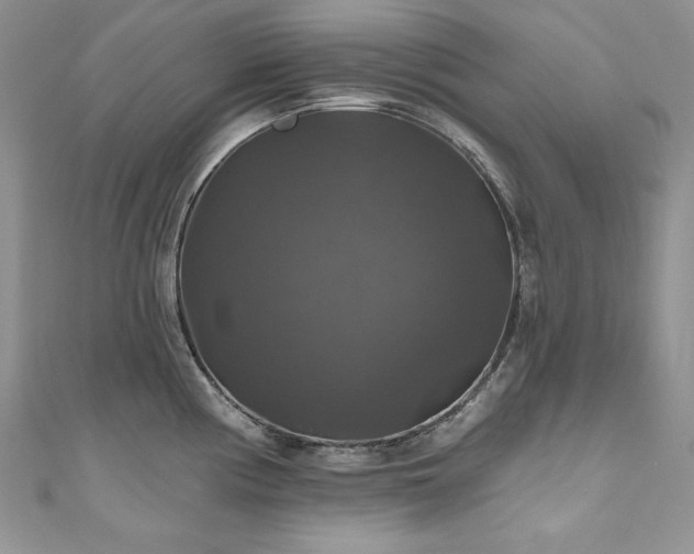 X0000111201194200907011426