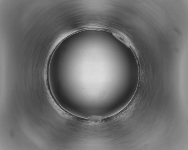 X0000111201195200907011426