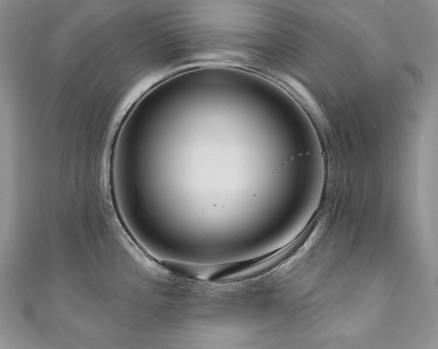 X0000111201196200907011426