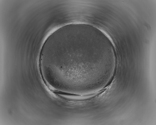 X0000111201197200907011426