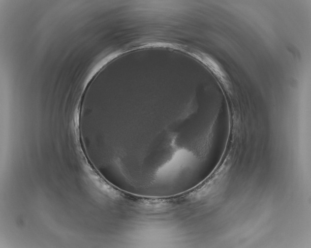 X0000111201198200907011426