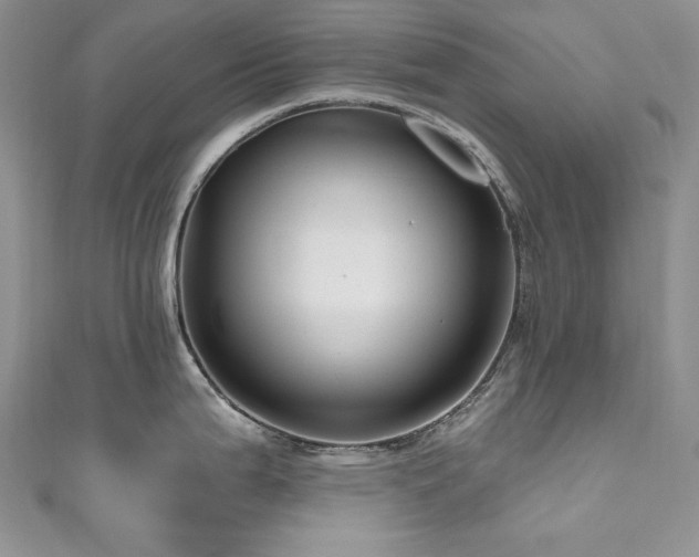 X0000111201199200907011426