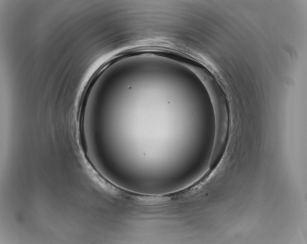 X0000111201200200907011426