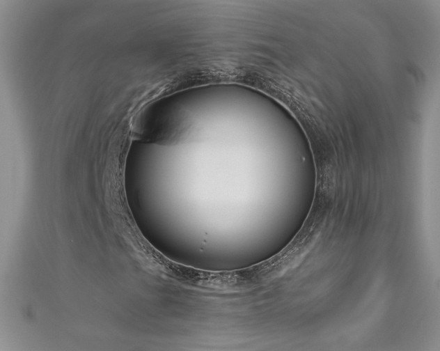 X0000111201201200907011426