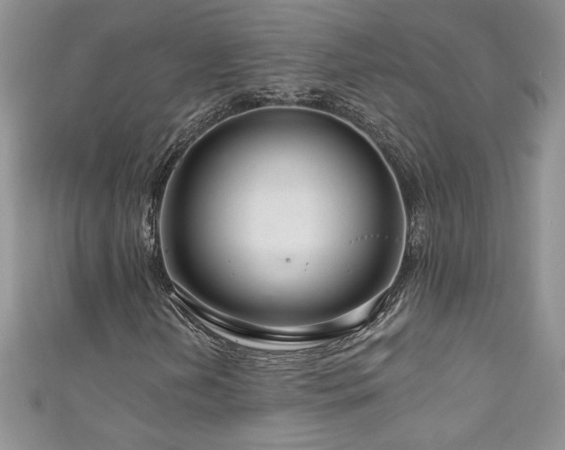 X0000111201202200907011426