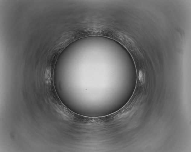 X0000111201203200907011426