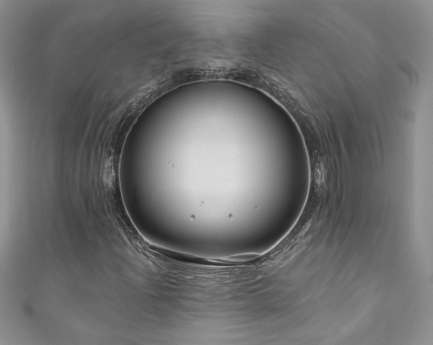 X0000111201204200907011426