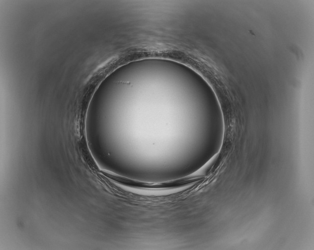 X0000111201205200907011426
