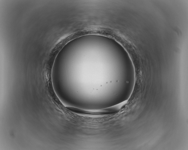 X0000111201206200907011426