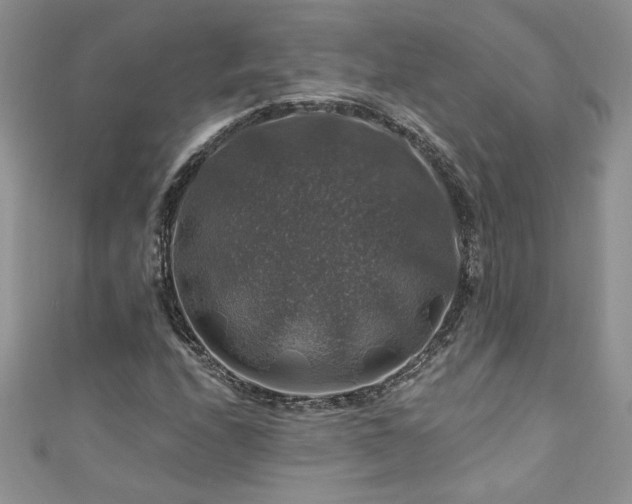 X0000111201208200907011426