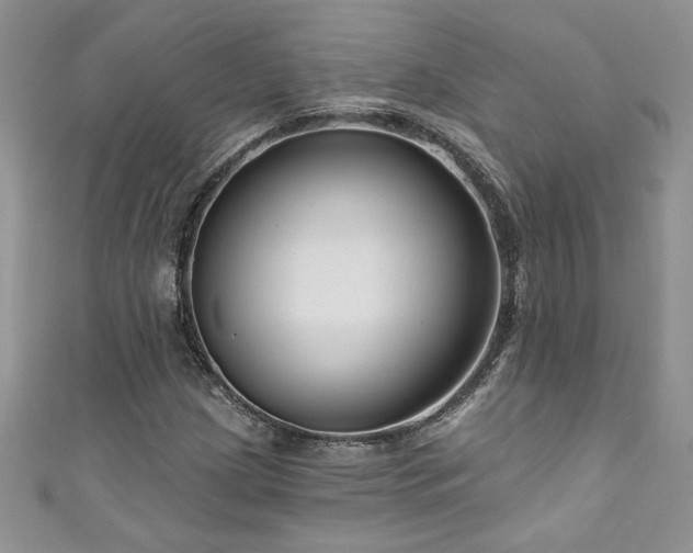X0000111201209200907011426