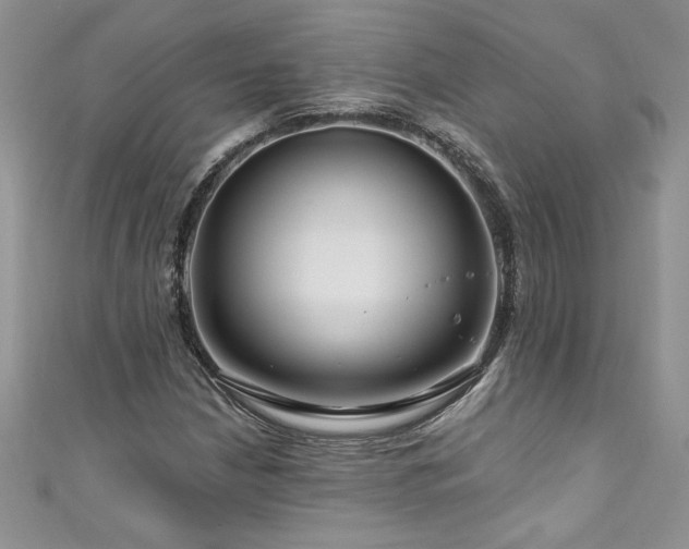 X0000111201210200907011426