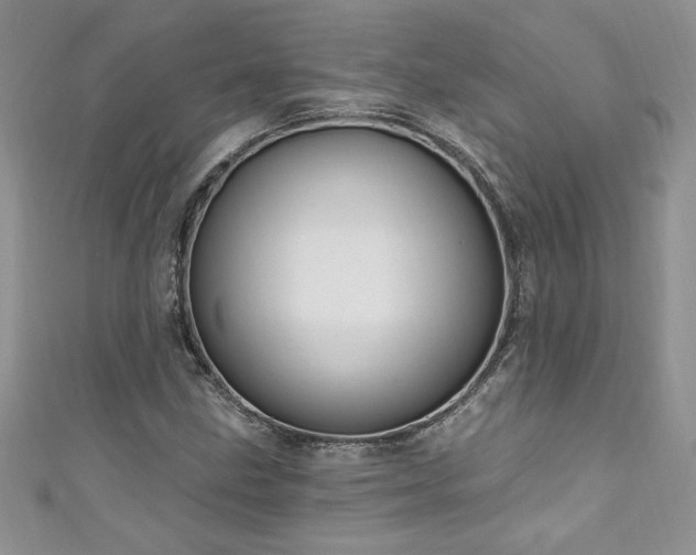 X0000111201211200907011426