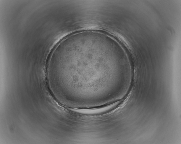 X0000111201212200907011426