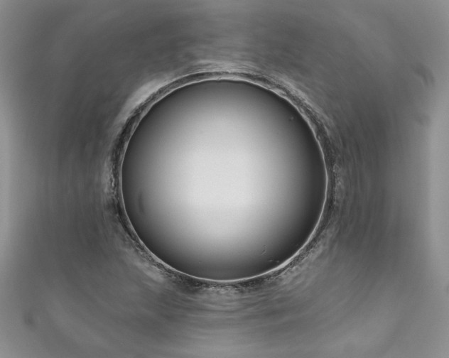 X0000111201215200907011426
