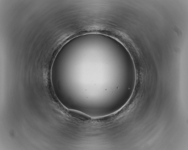 X0000111201217200907011426