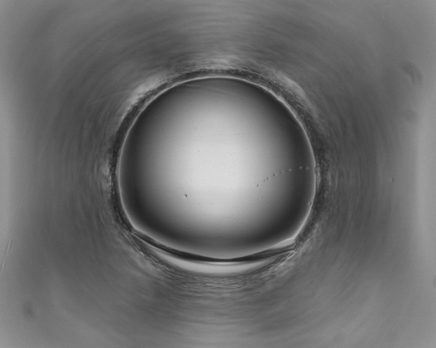 X0000111201218200907011426