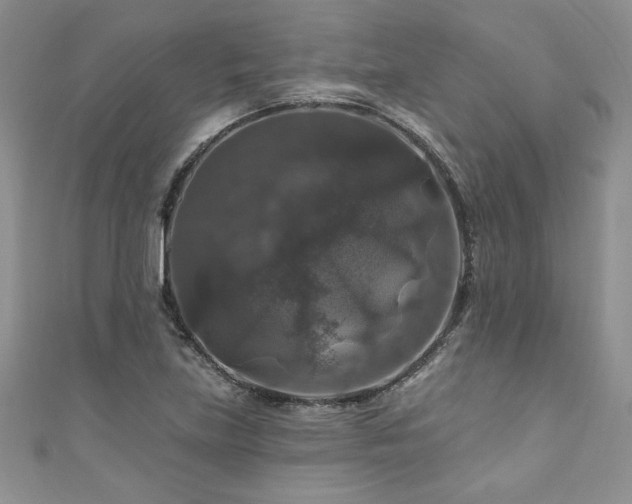 X0000111201219200907011426