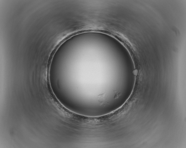 X0000111201220200907011426