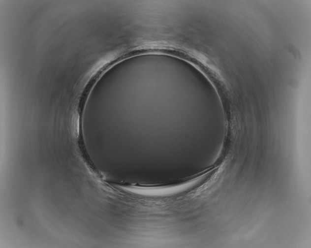 X0000111201221200907011426