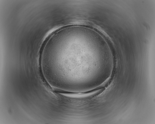 X0000111201222200907011426