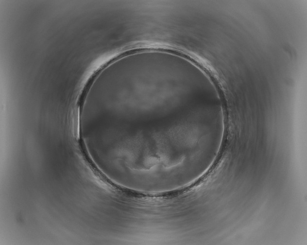 X0000111201223200907011426