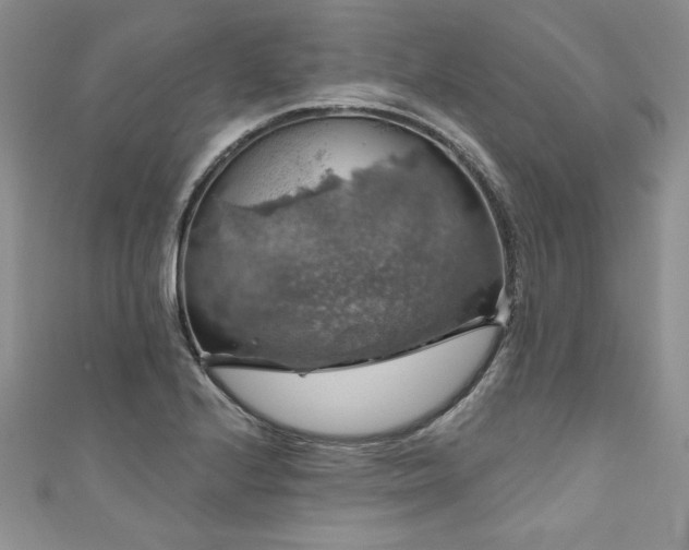 X0000111201224200907011426