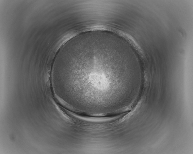 X0000111201225200907011426