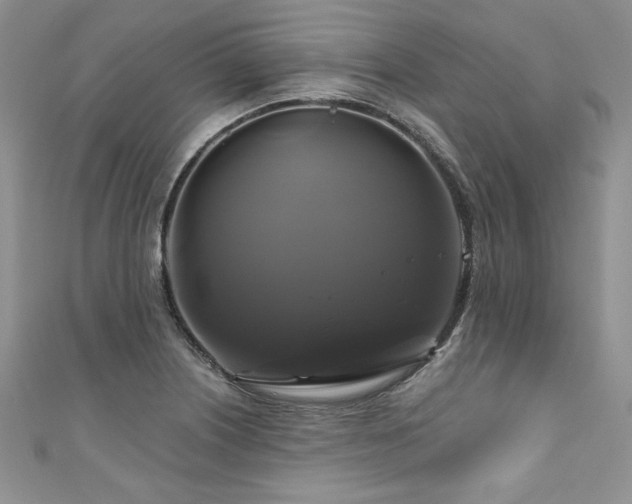 X0000111201226200907011426