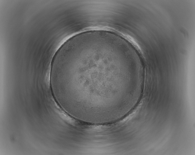 X0000111201228200907011426