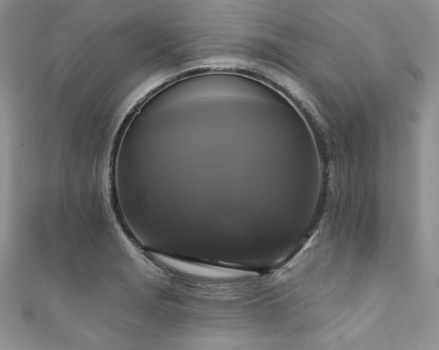 X0000111201229200907011426