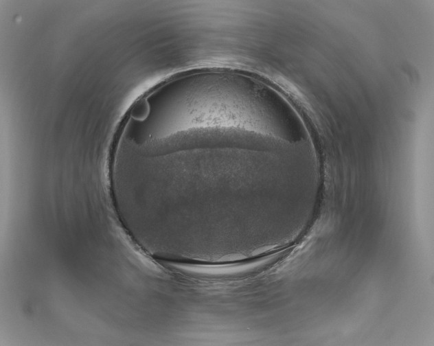 X0000111201230200907011426