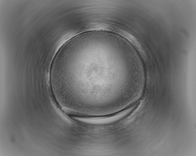 X0000111201234200907011426