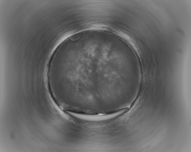 X0000111201235200907011426