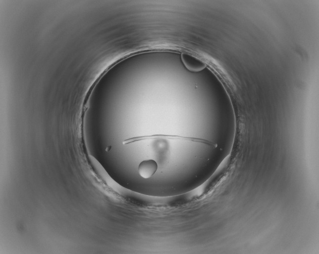 X0000111201236200907011426