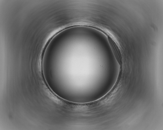 X0000111201238200907011426