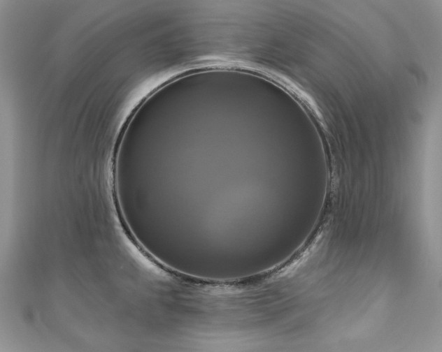 X0000111201239200907011426